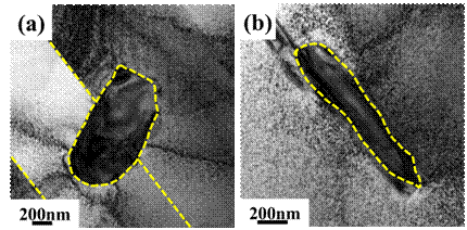fig6